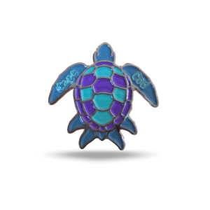 Cape Cod Pin - Cape Turtle